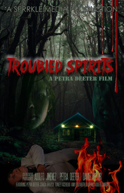 Troubled Spirits poster